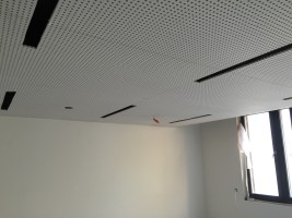 IMG_1989